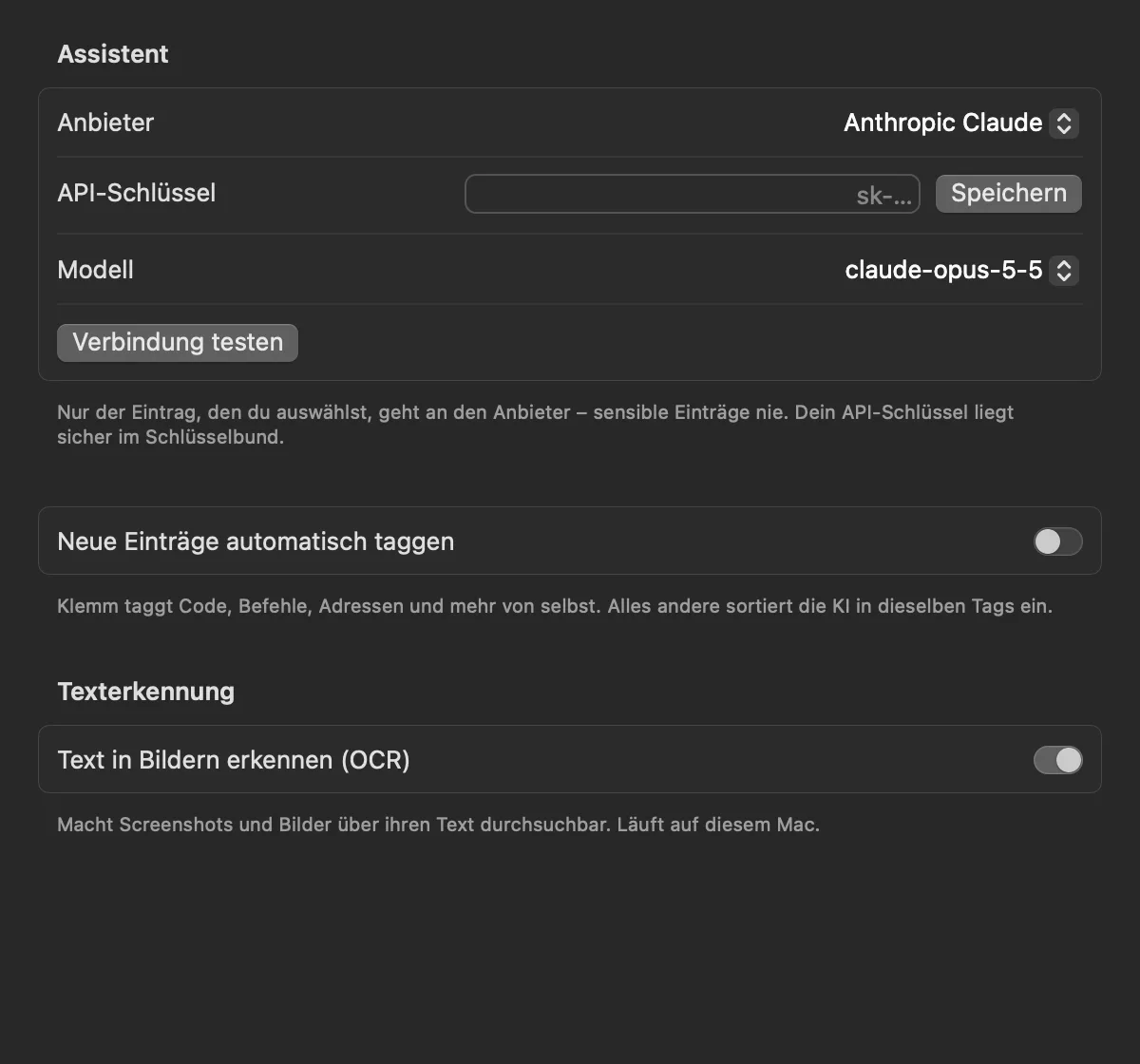 KI-Einstellungen von Klemm mit Anbieter, API-Schlüssel und Texterkennung.