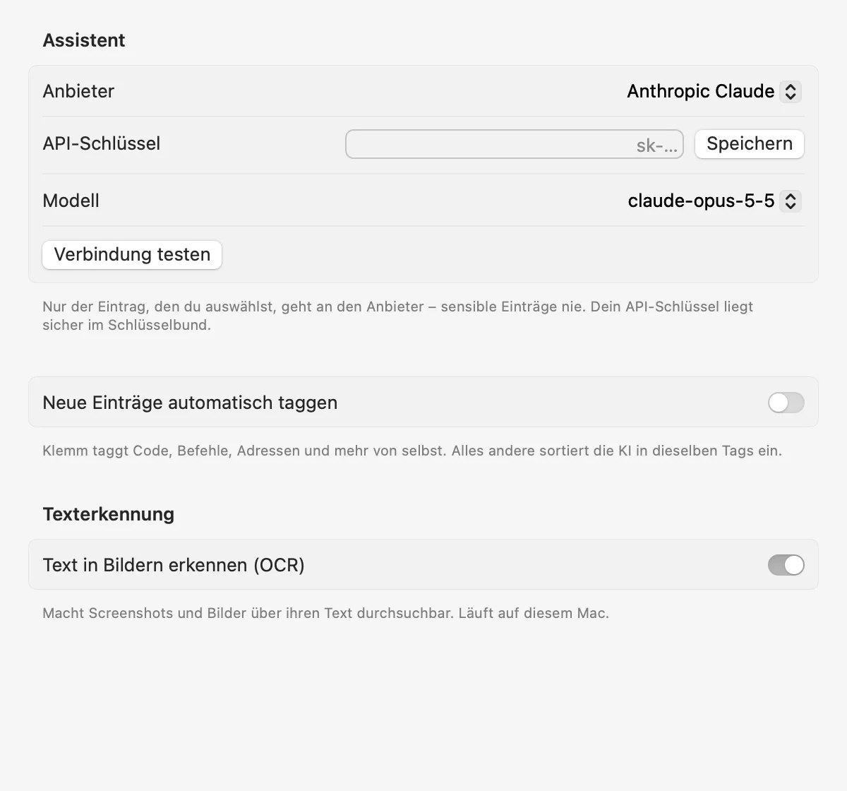KI-Einstellungen von Klemm mit Anbieter, API-Schlüssel und Texterkennung.